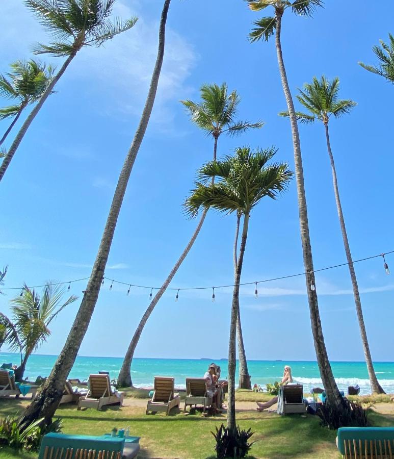 El Mosquito Boutique Hotel Playa Bonita لاس تاريناس المظهر الخارجي الصورة