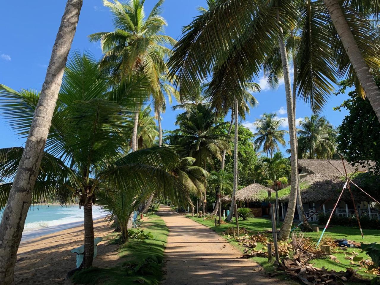El Mosquito Boutique Hotel Playa Bonita لاس تاريناس المظهر الخارجي الصورة