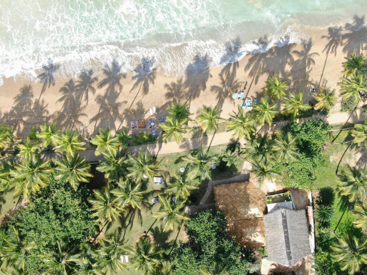 El Mosquito Boutique Hotel Playa Bonita لاس تاريناس المظهر الخارجي الصورة